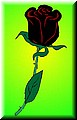  - tnSabine Hoffer - Die schwarze Rose (Computerzeichnung, koloriert von Georg Siebert)